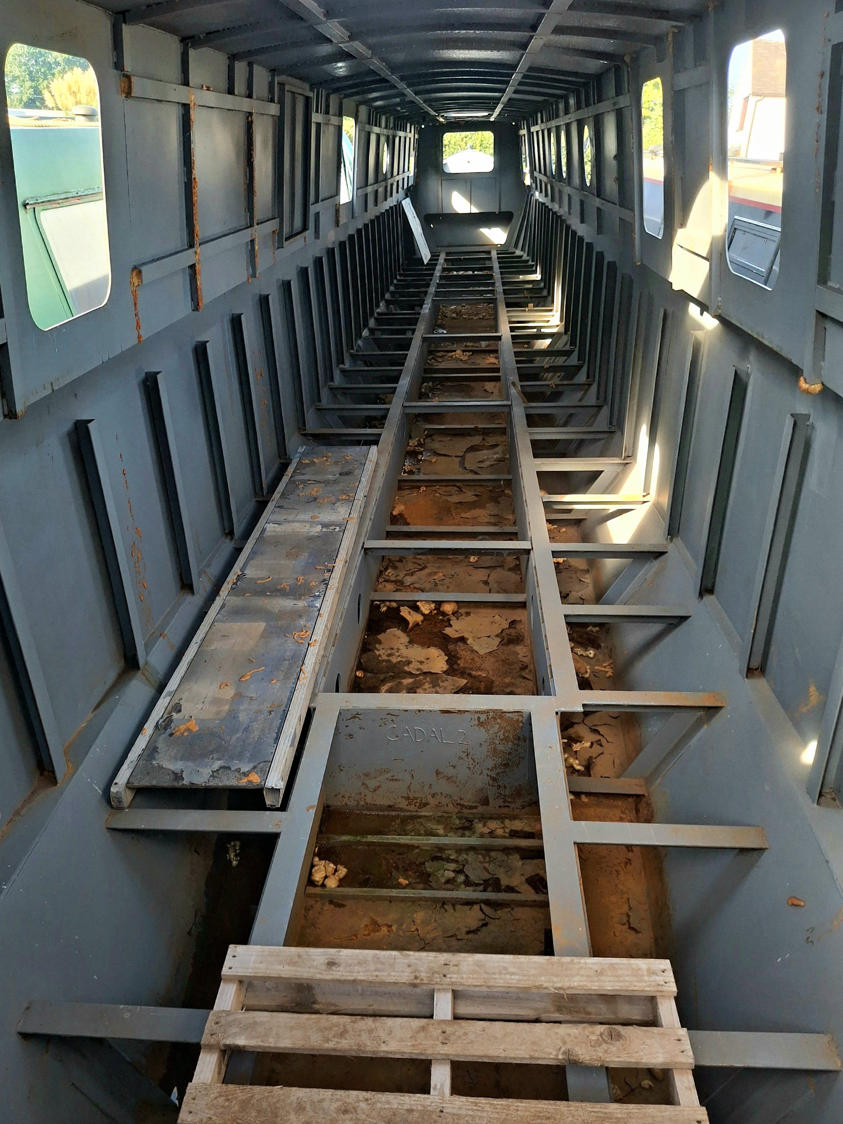 Custom River Cruiser